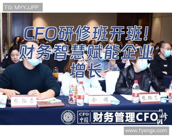 从AL到CFO的战略较量探究企业高层决策与财务智慧争锋
